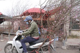 [Video] Vui xuân đón Tết nhưng vẫn đảm bảo phòng dịch COVID-19