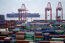 WTO nhận định hoạt động giao thương toàn cầu đang chậm lại