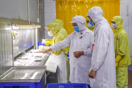 Agribank đẩy mạnh tín dụng hỗ trợ DN khôi phục sản xuất, kinh doanh. (Ảnh: PV/Vietnam+)