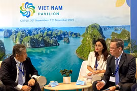 Chủ tịch Hội đồng quản trị VietinBank Trần Minh Bình và ông Koichiro Oshima, Giám đốc điều hành, Giám đốc Đơn vị Kinh doanh Giải pháp Tài chính, MUFG (trái) thảo luận về các cơ hội hợp tác trong lĩnh vực tài chính bền vững. (Ảnh: PV/Vietnam+)