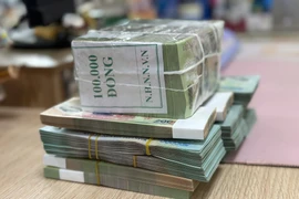 Gói hỗ trợ lãi suất 2%/năm từ nguồn ngân sách nhà nước với 40.000 tỷ đồng được áp dụng từ năm 2022 chưa đạt được như kỳ vọng. (Ảnh: PV/Vietnam+)