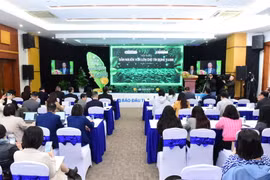 Quang cảnh tại hội thảo. (Ảnh: PV/Vietnam+)