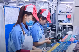 Việc các ngân hàng giảm lãi suất tiền gửi tiết kiệm là cơ sở để giảm lãi suất cho vay hỗ trợ doanh nghiệp. (Ảnh: Vietnam+)