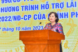 Thống đốc Ngân hàng Nhà nước Việt Nam Nguyễn Thị Hồng phát biểu tại hội nghị (Ảnh: PV/Vietnam+) 