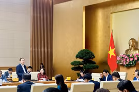 Phó Thống đốc Thường trực Ngân hàng Nhà nước Đào Minh Tú cho biết nguyên nhân tăng trưởng tín dụng thời gian qua chưa cao chủ yếu từ các yếu tố khách quan. (Ảnh: PV/Vietnam+)