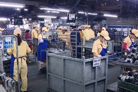 Ảnh minh họa. (Ảnh: Vietnam+)