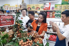 Nhiều mặt hàng nông sản của Việt Nam đã xuất khẩu sang Nhật Bản và nhiều nước trên thế giới. (Ảnh: PV/Vietnam+)