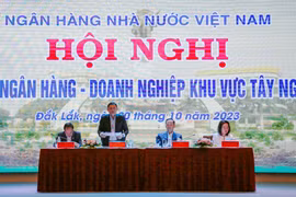 Các đại biểu tham dự hội nghị. (Ảnh: PV/Vietnam+)
