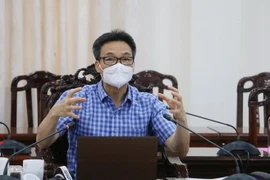 Phó Thủ tướng Chính phủ Vũ Đức Đam. (Ảnh: Công Mạo/TTXVN)