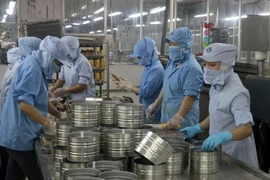 Chế biến cá hộp xuất khẩu tại Khu công nghiệp Cảng cá Tắc Cậu, xã Bình An, huyện Châu Thành, tỉnh Kiên Giang. (Ảnh: Lê Huy Hải/TTXVN)
