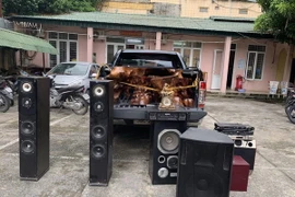 Tang vật vụ án. (Ảnh: Trịnh Duy Hưng/TTXVN)