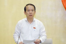 Chủ nhiệm Ủy ban Pháp luật của Quốc hội Hoàng Thanh Tùng phát biểu. (Ảnh: Doãn Tấn/TTXVN)