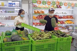 Khách hàng mua sắm tại siêu thị. (Ảnh: Trần Việt/TTXVN)