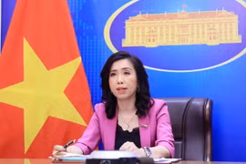 Người phát ngôn Bộ Ngoại giao Lê Thị Thu Hằng chủ trì họp báo. (Ảnh: Lâm Khánh/TTXVN)