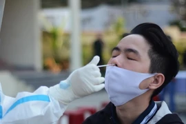 Nhân viên y tế lấy mẫu xét nghiệm. (Ảnh: Văn Dũng/TTXVN)