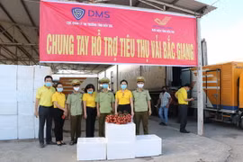 Vải thiều Bắc Giang đến với Bến Tre. (Ảnh: Huỳnh Phúc Hậu/TTXVN)