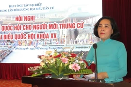 Bà Nguyễn Thị Thanh, Trưởng Ban Công tác đại biểu phát biểu tại hội nghị. (Ảnh: Tường Vi/TTXVN)