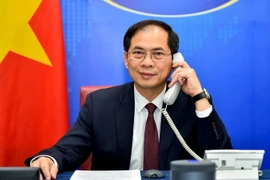 Bộ trưởng Ngoại giao Bùi Thanh Sơn điện đàm với Bộ trưởng Ngoại giao Ba Lan Zbigniew Rau. (Ảnh: TTXVN phát)