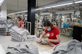 Lao động nữ tại Khu công nghiệp. (Ảnh: Đại Nghĩa/TTXVN)