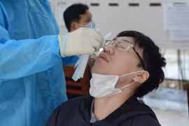 Nhân viên y tế lấy mẫu xét nghiệm. (Ảnh: Văn Dũng/TTXVN)