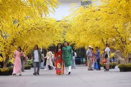 [Photo] TPHCM: Rộn ràng sắc Xuân tại Lễ hội Tết Việt Tân Sửu