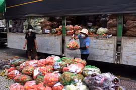 Mỗi ngày tỉnh Lâm Đồng sẽ chuyển cho Thành phố Hồ Chí Minh 200 tấn rau, củ, quả để hỗ trợ lực lượng tuyến đầu và người dân trong đợt dịch. (Ảnh: Xuân Khu/TTXVN)