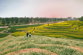 Khu sinh thái Đan Phượng có cảnh quan hấp dẫn đang là điểm đến hấp dẫn với khách du lịch, nhất là vào dip cuối tuần. (Nguồn: nhandan)