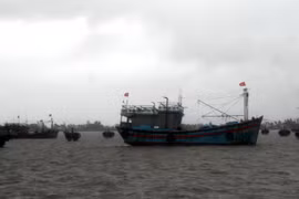 Tàu, thuyền đã neo đậu chắc chắn, đảm bảo không bị va đập khi bão đổ bộ. (Ảnh: Phước Tuệ/TTXVN)
