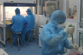 Các cán bộ y tế của Trung tâm Kiểm soát bệnh tật Nghệ An đang làm việc xuyên đêm để nhanh chóng xác định các trường hợp dương tính với SARS-CoV-2 phục vụ công tác phòng, chống dịch trên địa bàn tỉnh một cách kịp thời, hiệu quả. (Ảnh: TTXVN phát)
