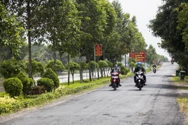 “Đoạn đường đẹp” dài 4,5km là Công trình tiêu biểu do Đảng bộ, chính quyền và người dân xã Ngọc Chúc thực hiện để chào mừng Đại hội đại biểu toàn quốc lần thứ XIII của Đảng. (Ảnh: Hồng Đạt/TTXVN)