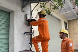 Kiểm tra côngtơ điện cho khách hàng. (Ảnh: Đức Thọ/TTXVN)