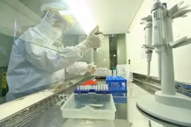 Xét nghiệm SARS-CoV-2. (Ảnh: TTXVN)