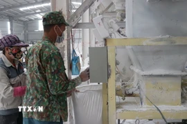 Hoạt động sản xuất tại Khu công nghiệp phía Nam tỉnh Yên Bái. (Ảnh: Việt Dũng/TTXVN)