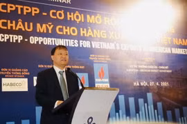 Thứ trưởng Bộ Công Thương Đỗ Thắng Hải phát biểu tại hội thảo. (Ảnh: Trần Việt/TTXVN)