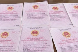 Các giấy chứng nhận quyền sử dụng đất giả đối tượng Vũ Thị Hà dùng để thực hiện thủ tục chuyển nhượng quyền sử dụng đất rồi chiếm đoạt tài sản. (Ảnh: Đinh Tuấn/TTXVN)