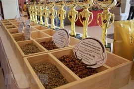 Các mẫu càphê đặc sản Việt Nam. (Ảnh: Phạm Cường/TTXVN)
