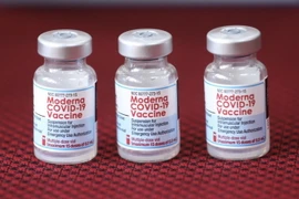 Vaccine Moderna phòng COVID-19. (Ảnh: Minh Quyết/TTXVN)