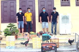 Các đối tượng cùng tang vật liên quan. (Ảnh: TTXVN phát)