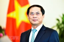 Thứ trưởng Thường trực Bộ Ngoại giao Bùi Thanh Sơn. (Nguồn: TTXVN)