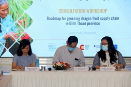 Các đại biểu tham dự Hội thảo. (Ảnh: Nguyễn Thanh/TTXVN)