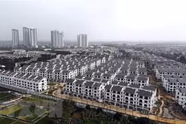 (Ảnh minh họa. TTXVN)