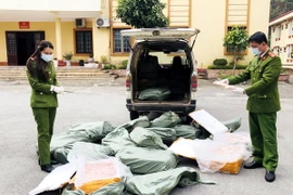 Kiểm kê nầm lợn. (Ảnh minh họa: Thái Thuần/TTXVN)