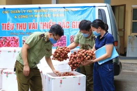 Sản phẩm vải thiều Bắc Giang trước khi mang đi tiêu thụ đều được đảm bảo chất lượng sản phẩm, thực hiện nghiêm ngặt các quy trình kiểm dịch, phun khử khuẩn và có giấy chứng nhận kiểm dịch. (Ảnh: Đinh Tuấn/TTXVN)