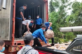 Các mặt hàng thực phẩm thiết yếu phục vụ lực lượng tuyến đầu chống dịch. (Ảnh TTXVN phát)