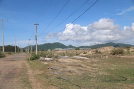 Một vùng đất bị bỏ hoang nhiều năm. (Ảnh: Hoàng Nhị/TTXVN)