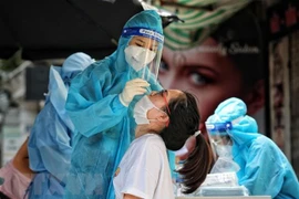 Lấy mẫu xét nghiệm. (Ảnh: Thành Đạt/TTXVN)