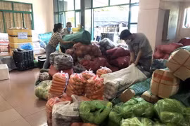 Nhiều hàng hóa nông sản, thực phẩm của nông dân Bình Định gửi tặng nhân dân Thành phố Hồ Chí Minh. (Ảnh: Nguyên Linh/TTXVN)