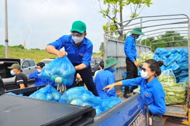 Đoàn viên, thanh niên vận chuyển nhu yếu phẩm hỗ trợ công tác phòng chống dịch bệnh COVID-19. (Ảnh: Minh Đức/TTXVN)