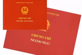Chúng chỉ tin học, ngoại ngữ. Ảnh minh họa.