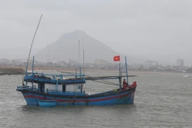 Ngư dân khai thác thủy sản trên biển. (Ảnh: Phạm Cường/TTXVN)